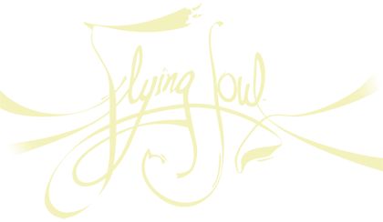 Flying Soul Flying Soul