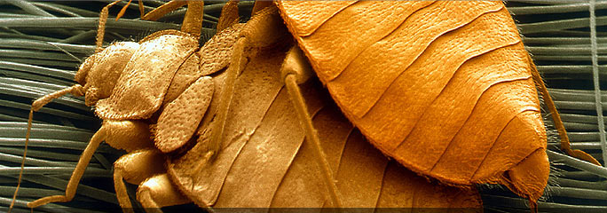 071118pn.jpg