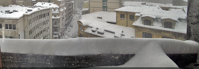 080103zp.jpg