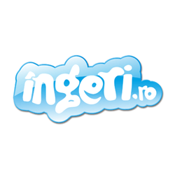 Ingeri.ro